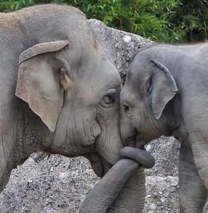 Meet your Posher, Glenna